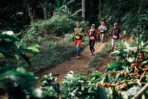 BIB: 
                            <button type="button" onclick="openModal(25856643)" class="btn btn-primary btn-sm float-right btn-popup" data-toggle="modal" data-target=".modal-high-quality">
                        <i class="fas fa-shopping-cart"></i> Add to Cart
                    </button>
                                            <button type="button" onclick="isThisMe(25856643, true)" class="btn btn-success btn-sm float-right btn-popup btn-isme hidden" data-toggle="tooltip" data-placement="bottom" title="นี่คือรูปของคุณใช่ไหม คลิกที่นี่เพื่อเอาเข้าอัลบั้ม">
                        <i class="fas fa-plus"></i> Add to album
                    </button>
                    <button type="button" onclick="isThisMe(25856643, false)" class="btn btn-warning btn-sm float-right btn-popup btn-isnotme hidden">
                        <i class="fas fa-ban"></i> Remove from album
                    </button>